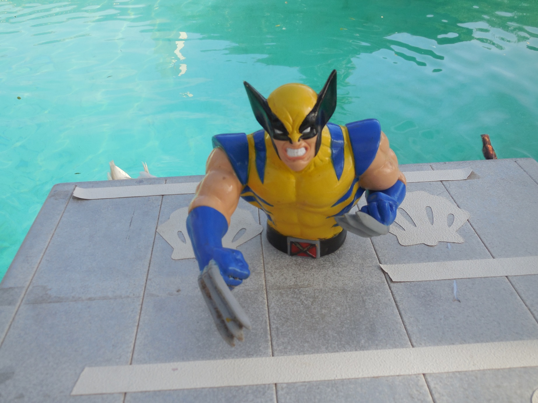 Wolverine6