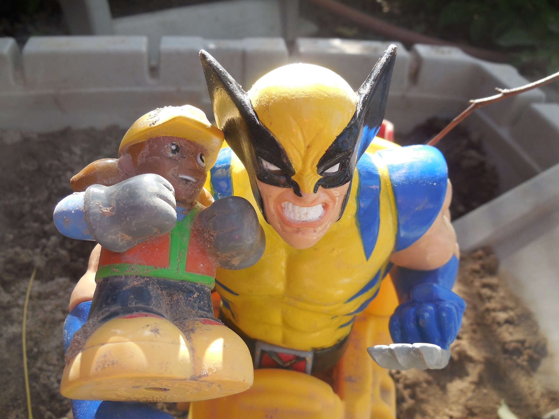 Wolverine9e